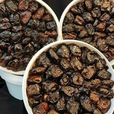 تصویر 4 از خرما گنتار سطلی ویژه ماه رمضان با انرژی بالا و هضم آسان